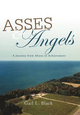 bokomslag Asses and Angels
