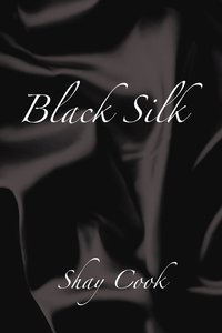 bokomslag Black Silk
