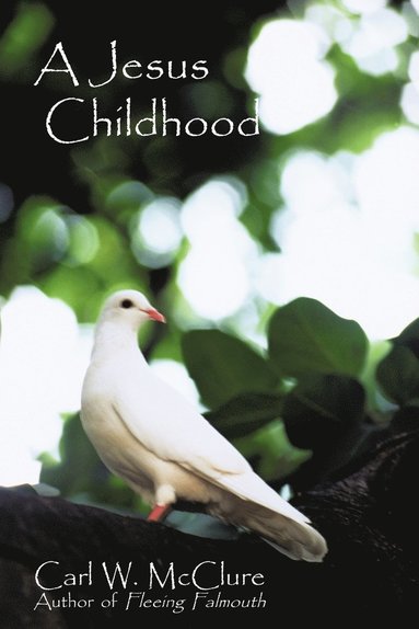 bokomslag Jesus Childhood