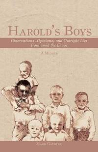 bokomslag Harold's Boys