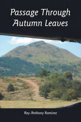 Passage Through Autumn Leaves 1