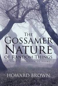 bokomslag The Gossamer Nature of Random Things