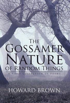 The Gossamer Nature of Random Things 1