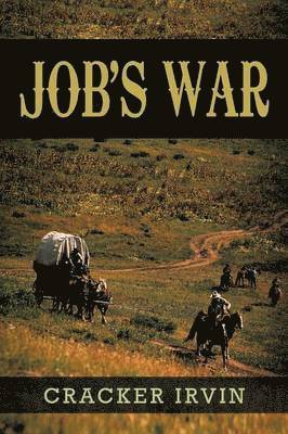 bokomslag Job's War