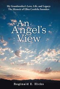 bokomslag An Angel's View
