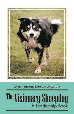 bokomslag Visionary Sheepdog