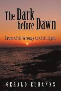 bokomslag The Dark Before Dawn