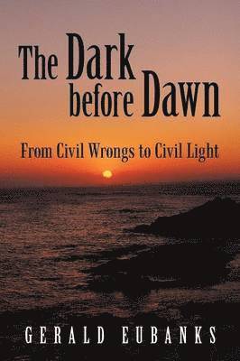 bokomslag The Dark Before Dawn