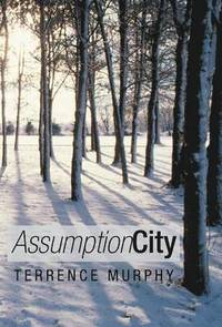 bokomslag Assumption City