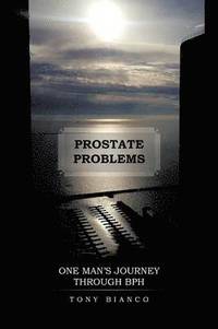 bokomslag Prostate Problems