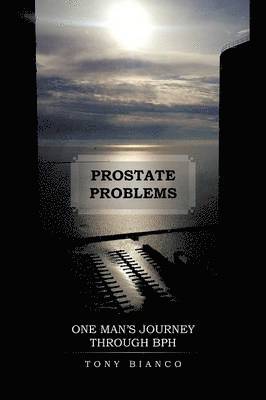 bokomslag Prostate Problems