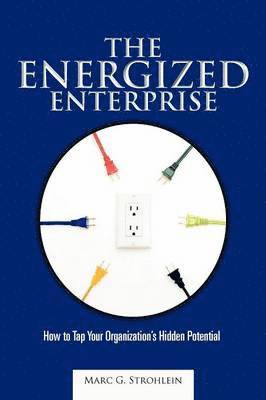 bokomslag Energized Enterprise