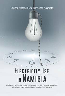 Electricity Use in Namibia 1