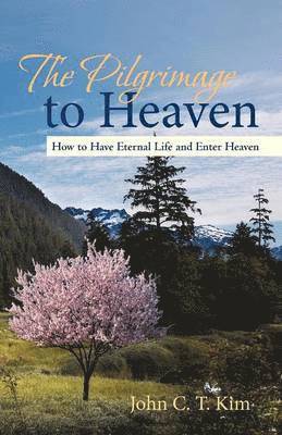John C T Kim, John C. T. Kim - Pilgrimage to Heaven, Häftad