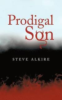 bokomslag Prodigal Son
