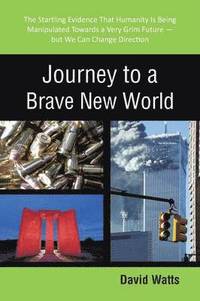 bokomslag Journey to a Brave New World