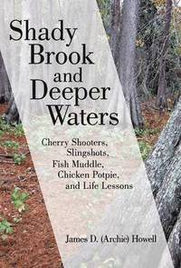 bokomslag Shady Brook and Deeper Waters