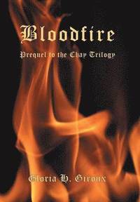 bokomslag Bloodfire