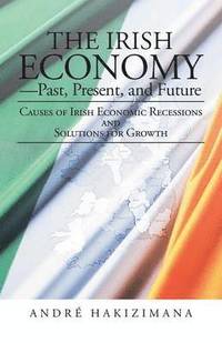bokomslag The Irish Economy-Past, Present, and Future