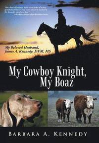 bokomslag My Cowboy Knight, My Boaz