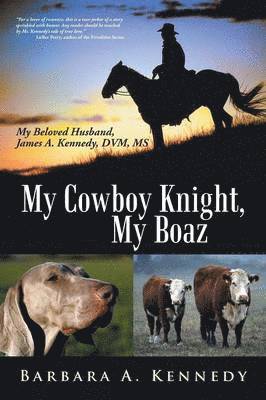 bokomslag My Cowboy Knight, My Boaz