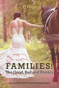 bokomslag Families! the Good, Bad and Wobbly