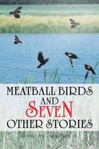 bokomslag Meatball Birds and Seven Other Stories