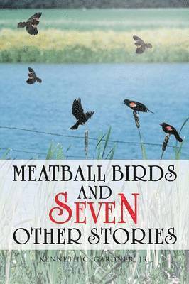 Meatball Birds and Seven Other Stories 1