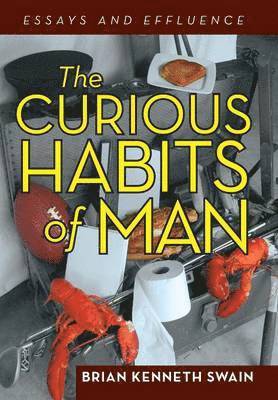 bokomslag The Curious Habits of Man