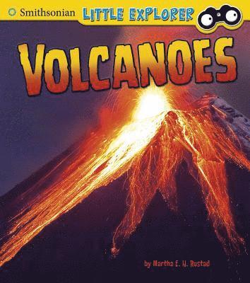 bokomslag Volcanoes