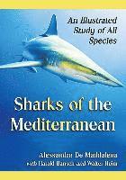 Sharks of the Mediterranean 1