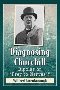 bokomslag Diagnosing Churchill