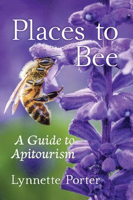 Places to Bee 1