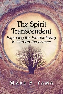 bokomslag Spirit Transcendent