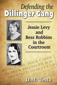 bokomslag Defending the Dillinger Gang