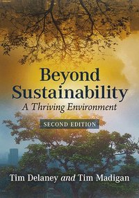 bokomslag Beyond Sustainability