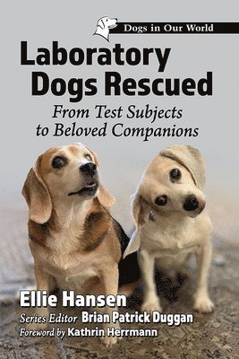 Laboratory Dogs Rescued 1