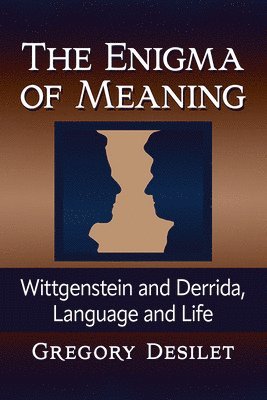 The Enigma of Meaning 1