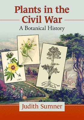 Judith Sumner - Plants in the Civil War, Häftad