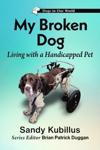 bokomslag My Broken Dog
