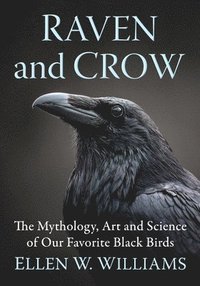 bokomslag Raven and Crow