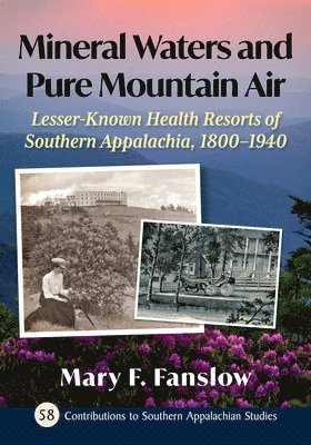 Mary F Fanslow - Mineral Waters and Pure Mountain Air, Häftad