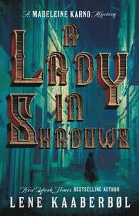 bokomslag A Lady in Shadows