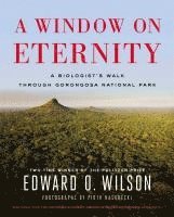 bokomslag Window On Eternity
