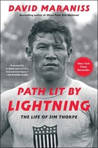 bokomslag Path Lit by Lightning
