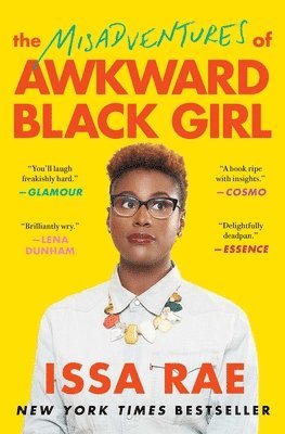 Misadventures of Awkward Black Girl 1