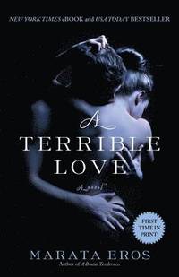 bokomslag Terrible Love