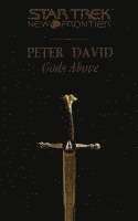Peter David - Star Trek: New Frontier: Gods Above, Häftad
