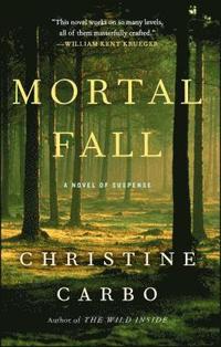 bokomslag Mortal Fall
