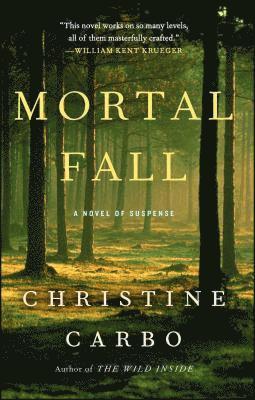 bokomslag Mortal Fall: A Novel of Suspense